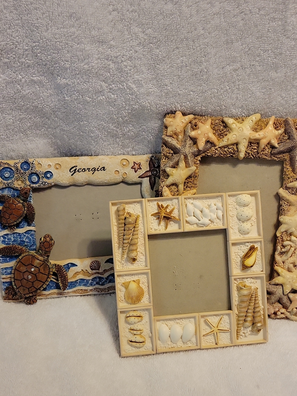 Sea Turtle Coastal Picture Frame With Star Fish Frame And Small Sea Shell Frame